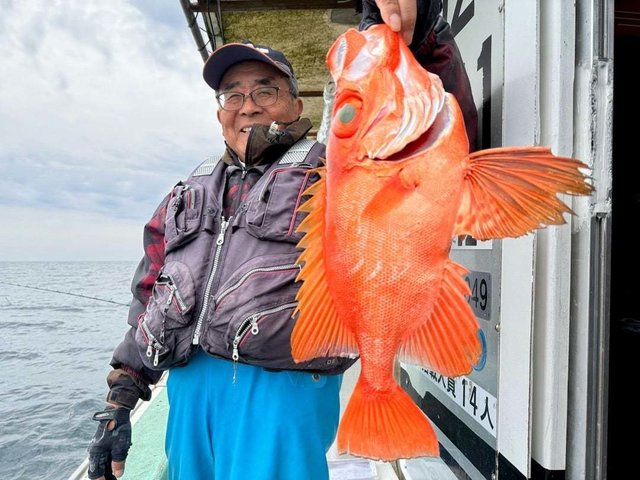 チカメキントキ