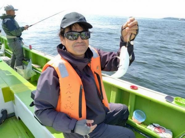 ショウサイフグ