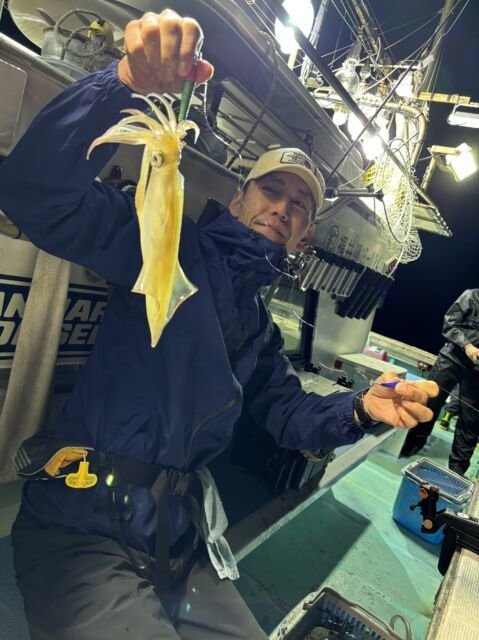 マイカ(ケンサキイカ)