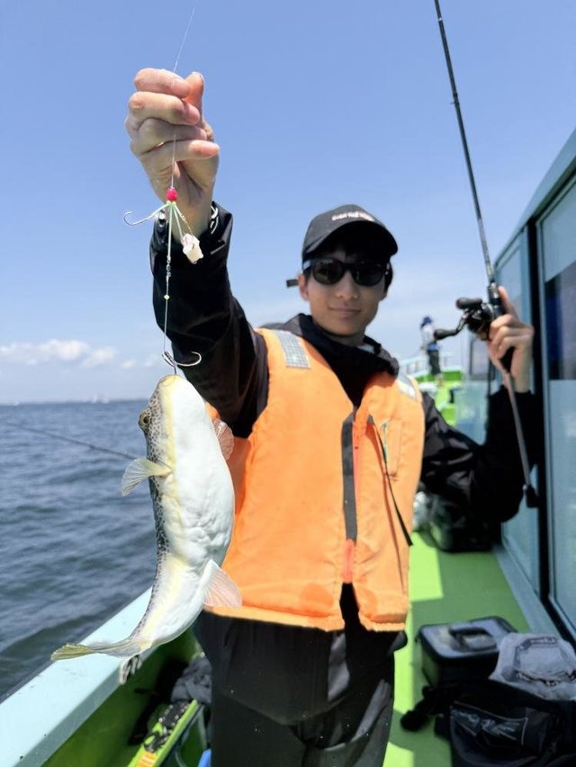 フグ(ショウサイフグ)