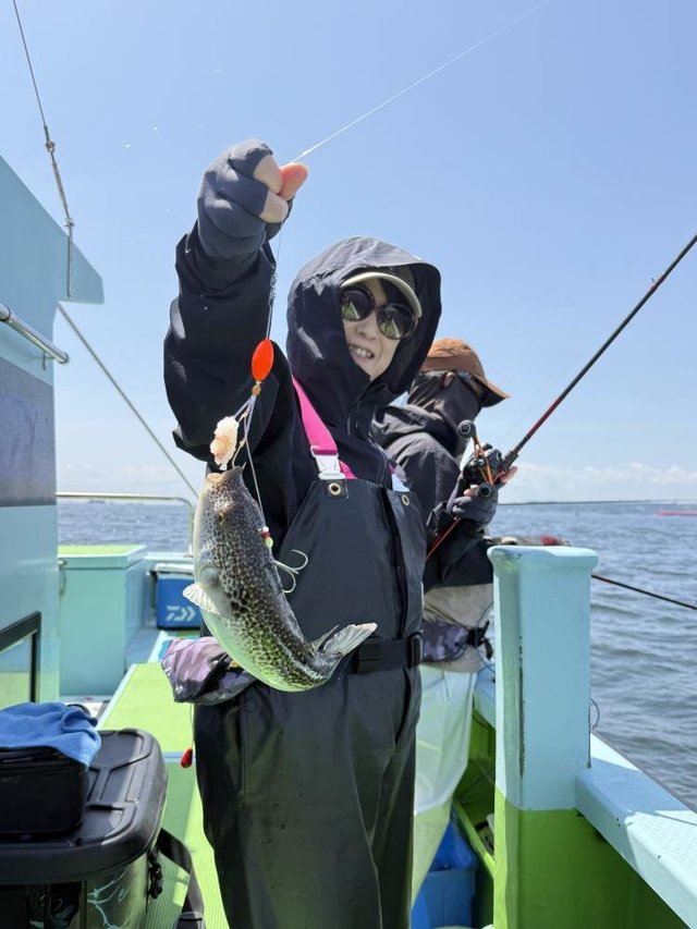 フグ(ショウサイフグ)