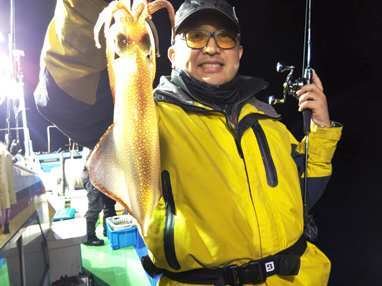 マイカ(ケンサキイカ)