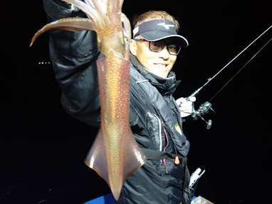 マイカ(ケンサキイカ)