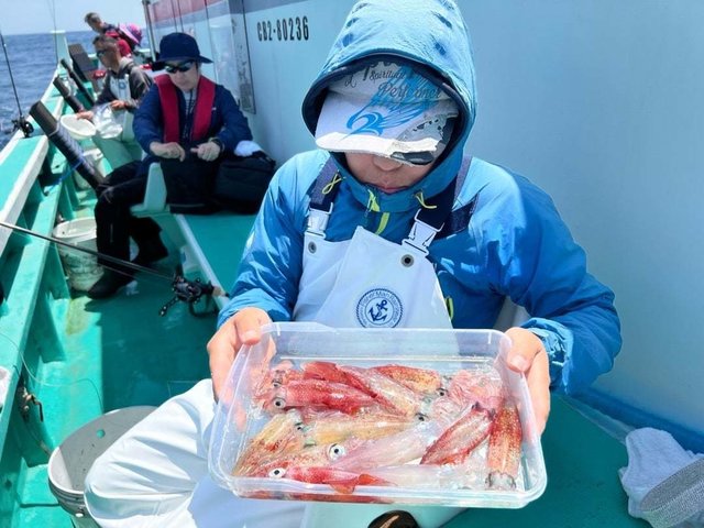 マルイカ(ケンサキイカ)