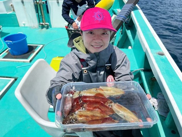 マルイカ(ケンサキイカ)