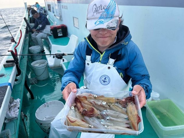 マルイカ(ケンサキイカ)