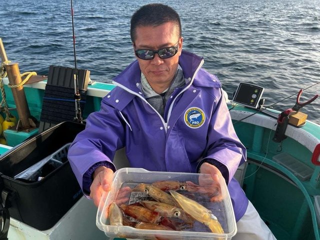 マルイカ(ケンサキイカ)