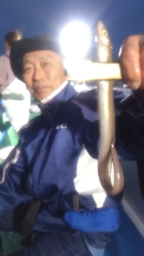 アナゴ(マアナゴ)