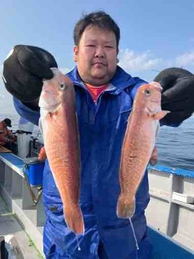 アマダイ(アカアマダイ)