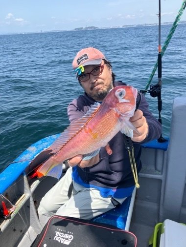 アマダイ(アカアマダイ)