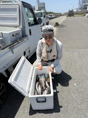 イサギ(イサキ)