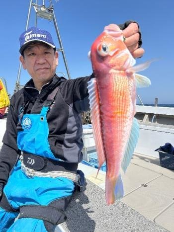 アマダイ(アカアマダイ)