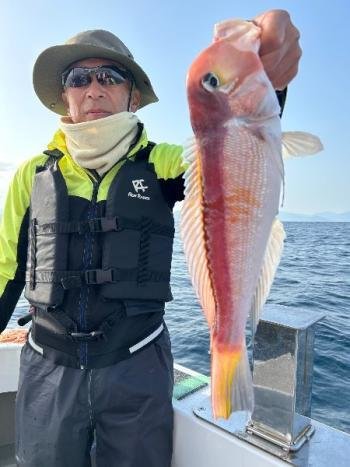 アマダイ(アカアマダイ)