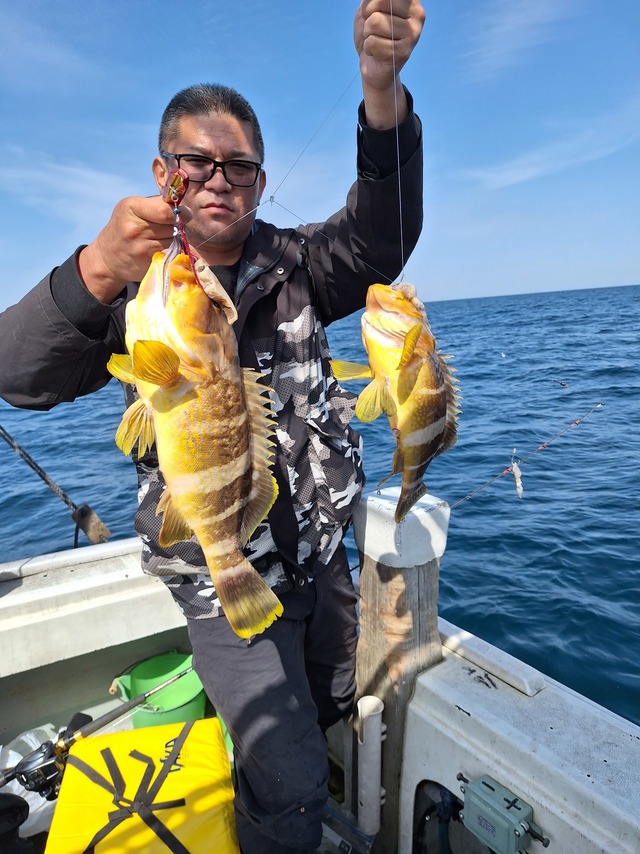 アオナ(アオハタ)