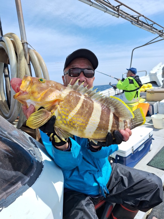 アオナ(アオハタ)