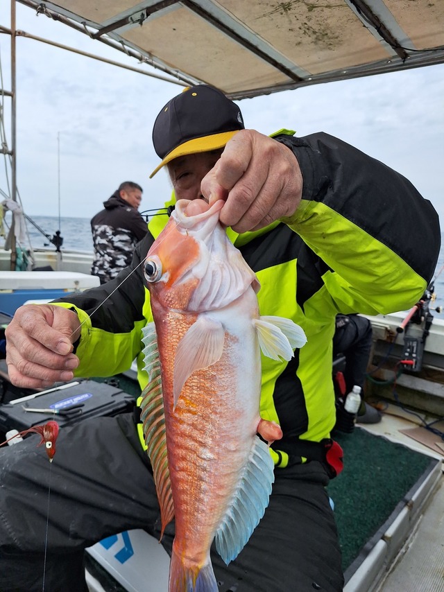 アマダイ(アカアマダイ)