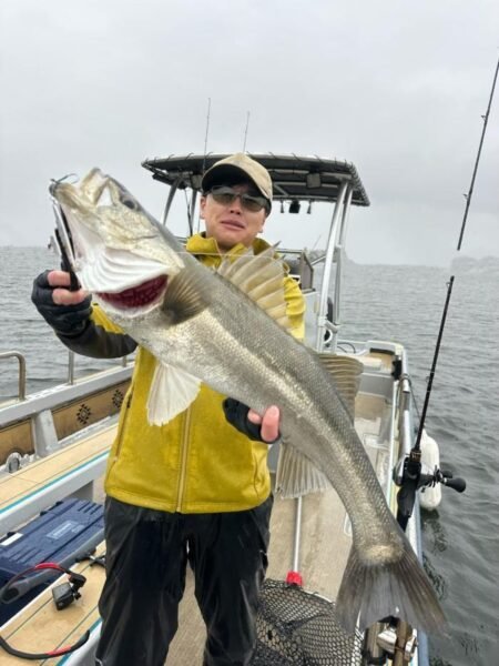 シーバス(スズキ)