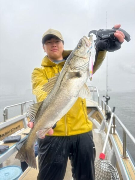 シーバス(スズキ)