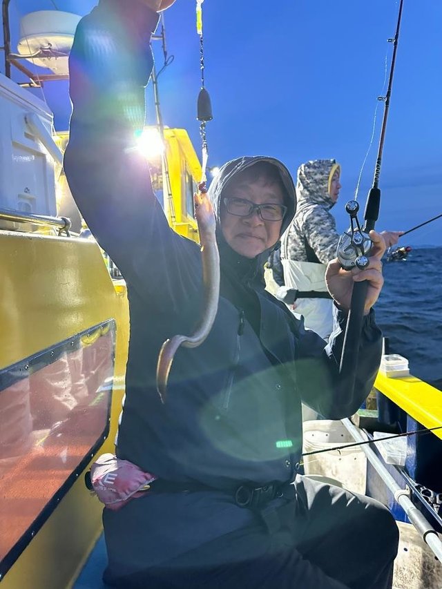 アナゴ(マアナゴ)