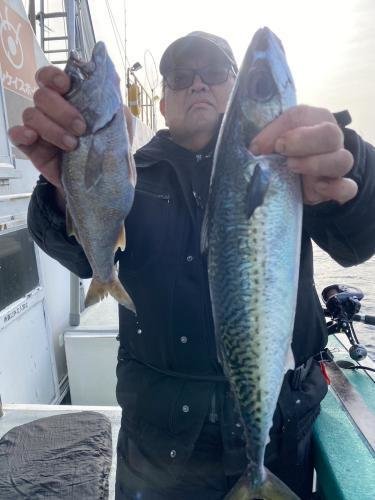 アジ(マアジ)・クロムツ