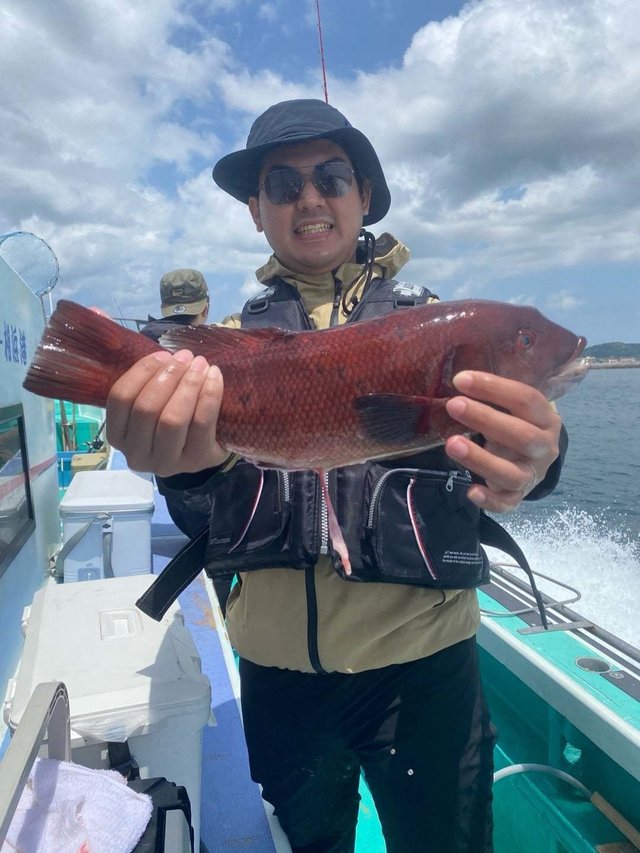 カンダイ(コブダイ)