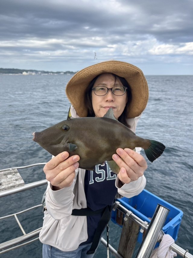 ウマズラハギ(ウマヅラハギ)