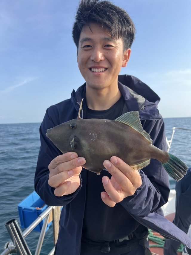 ウマズラハギ(ウマヅラハギ)