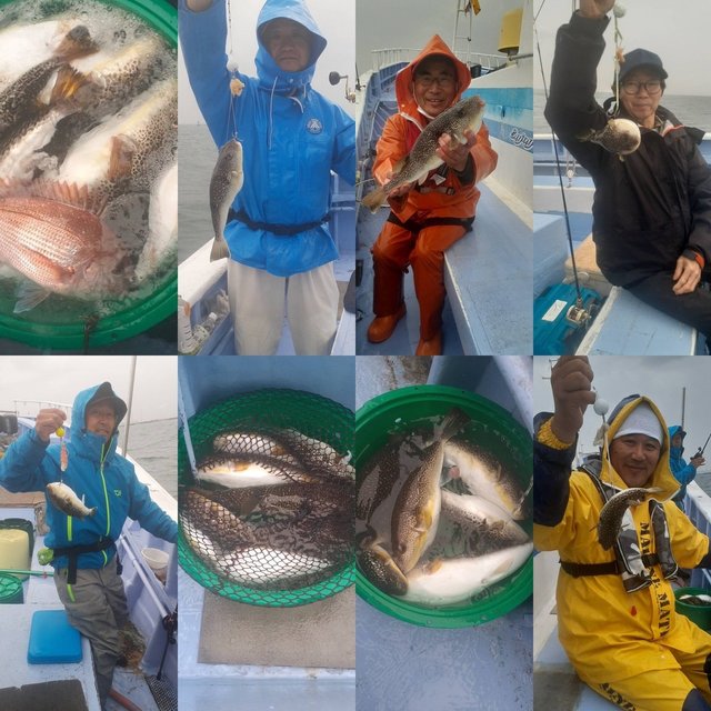 ショウサイフグ