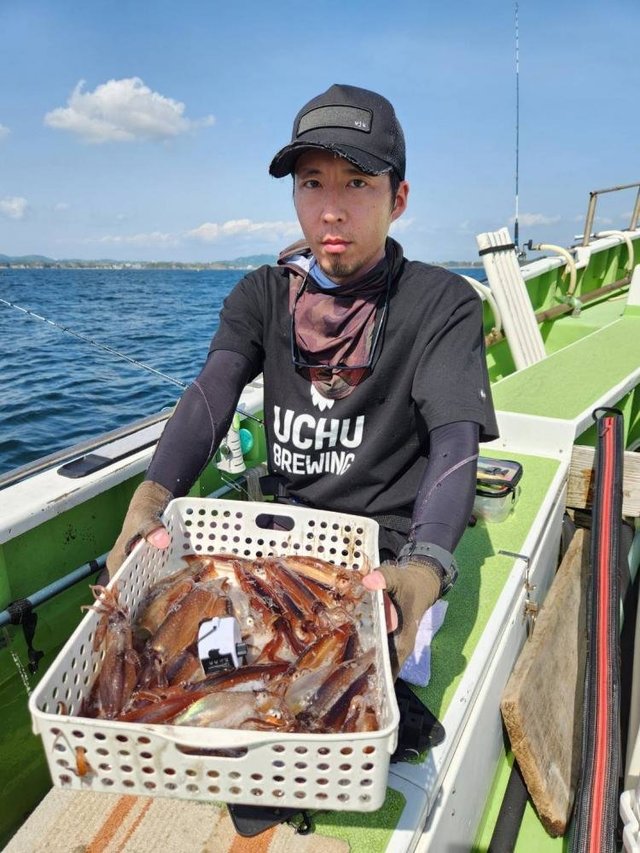 ムギイカ(スルメイカ)