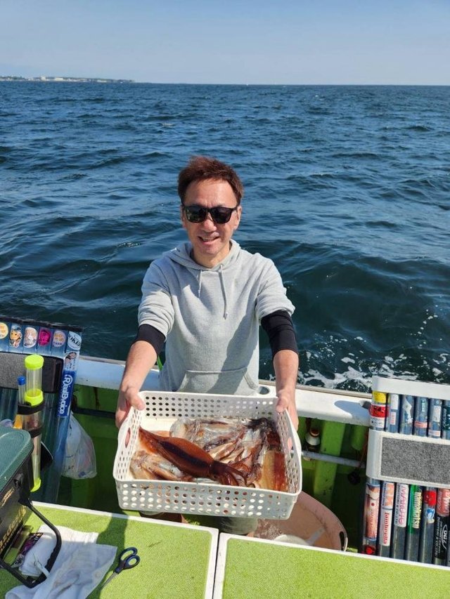 ムギイカ(スルメイカ)