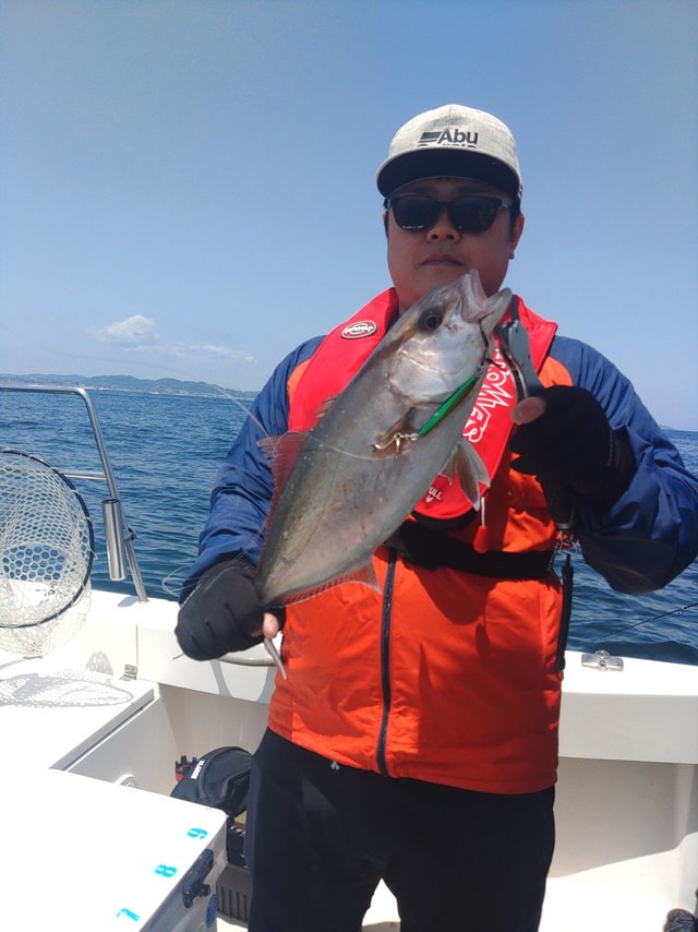 ショゴ(カンパチ)