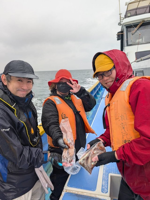 ムギイカ(スルメイカ)