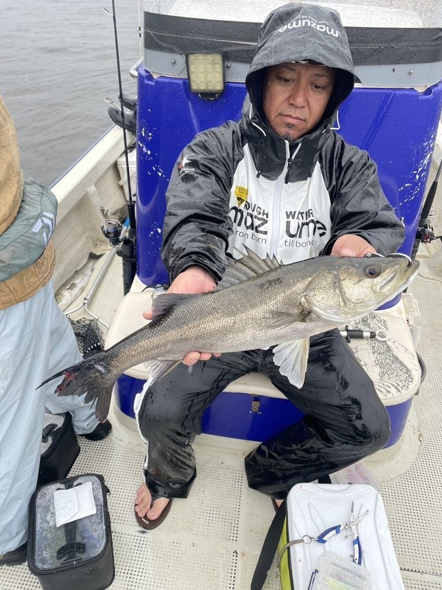 シーバス(スズキ)