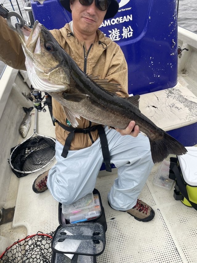 シーバス(スズキ)