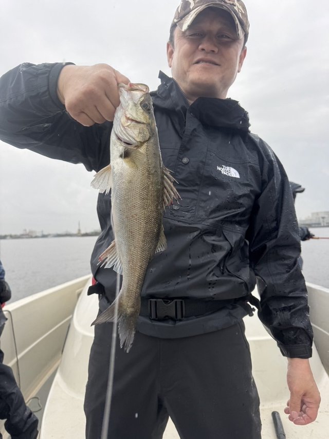 シーバス(スズキ)