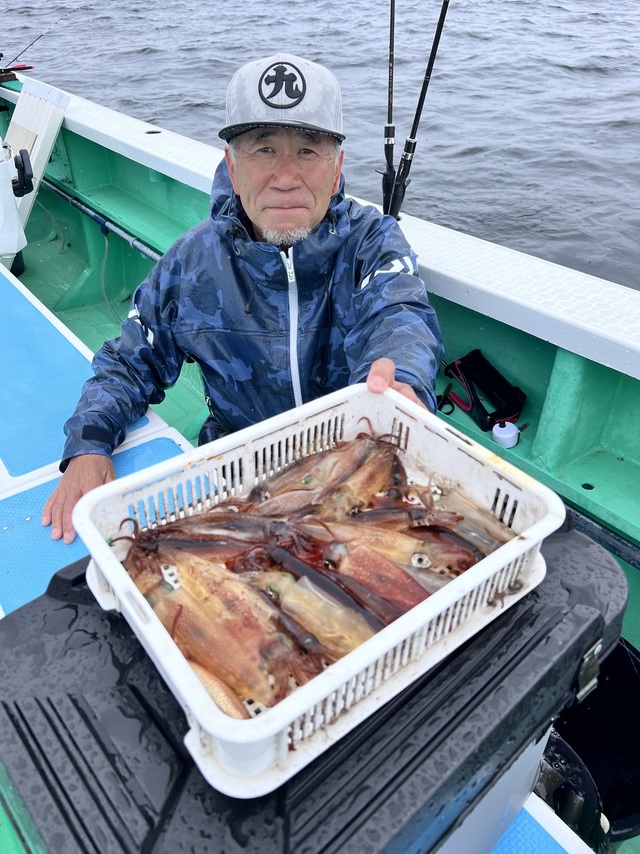 マルイカ(ケンサキイカ)