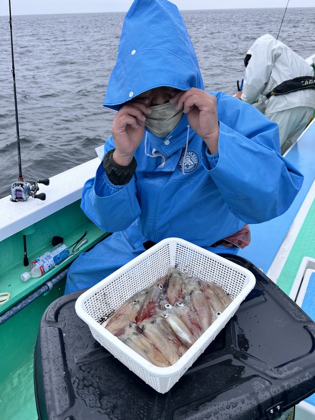 マルイカ(ケンサキイカ)