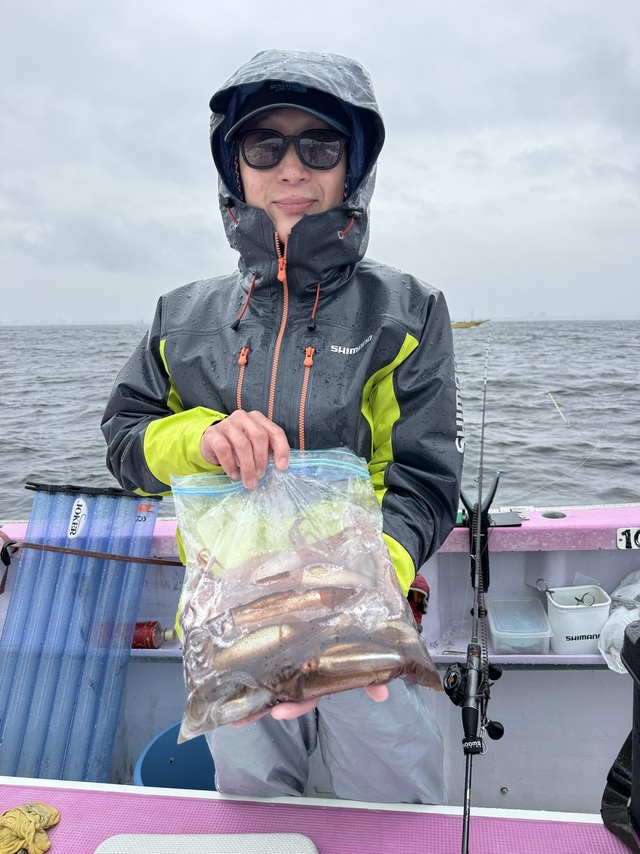 ムギイカ(スルメイカ)