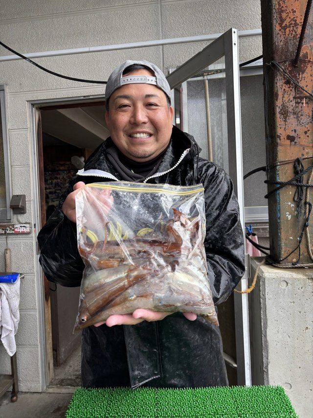 ムギイカ(スルメイカ)