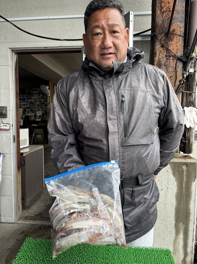 ムギイカ(スルメイカ)