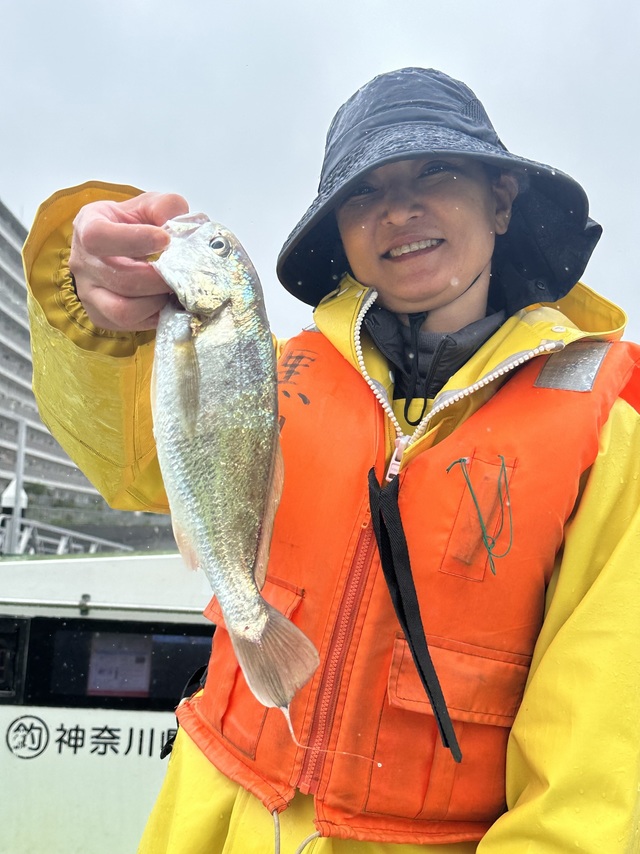 イシモチ(シログチ)