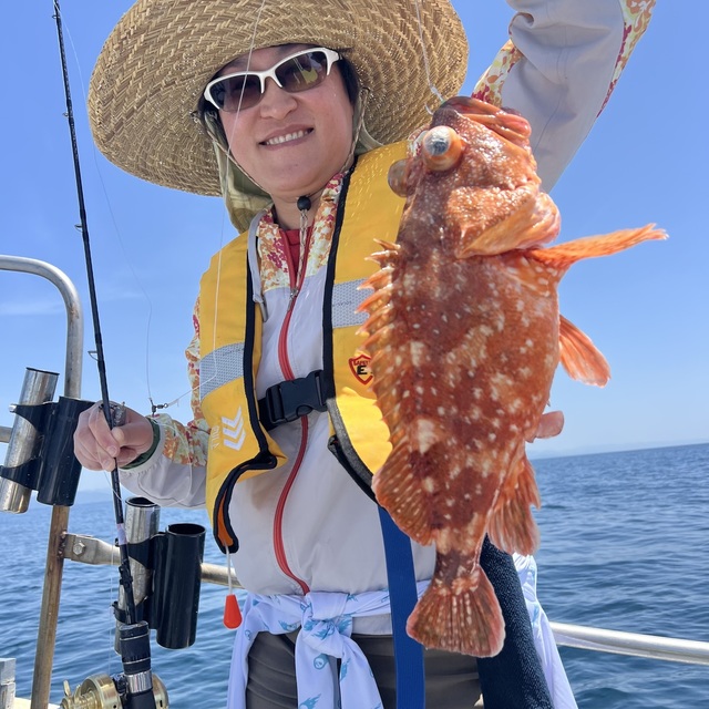 ウッカリカサゴ