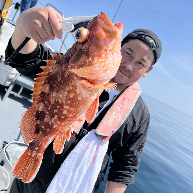 ウッカリカサゴ