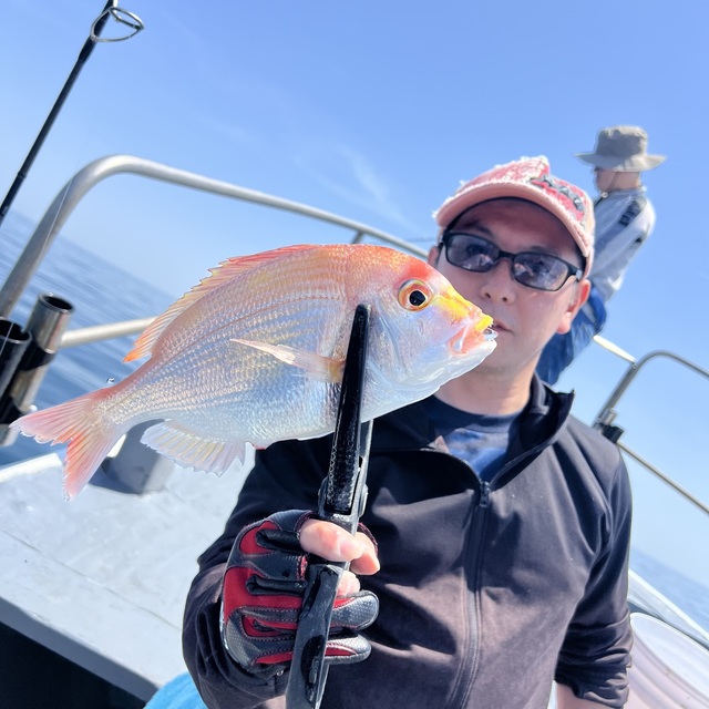 レンコダイ(キダイ)