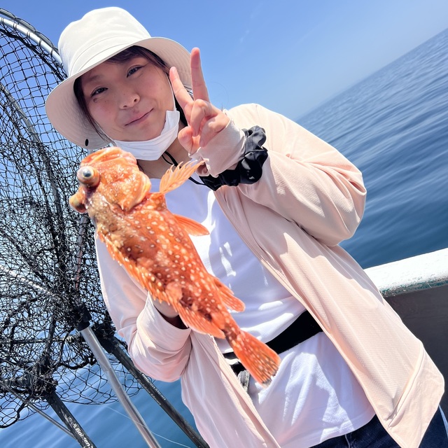 ウッカリカサゴ