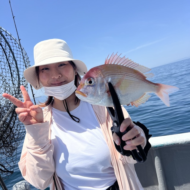 レンコダイ(キダイ)