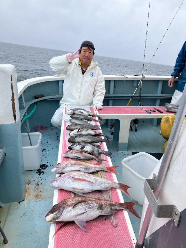 マダイ・クロダイ・メジナ