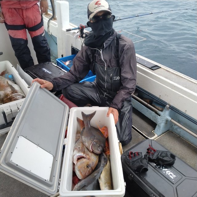 マダイ・クロ(メジナ)