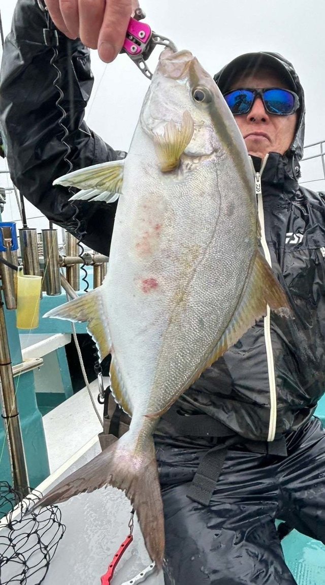 ヒレナガカンパチ