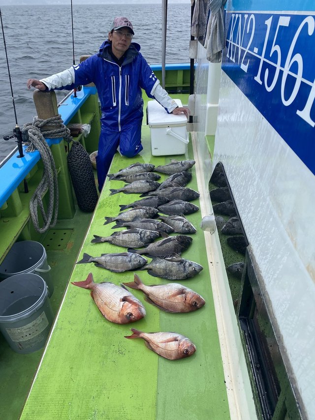 マダイ・クロダイ